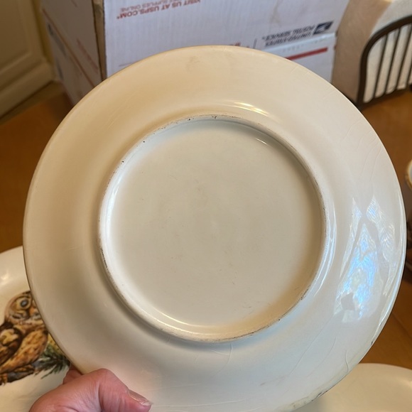 Vintage style owl salad plates and mugs - Picture 7 of 10